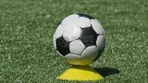 九游娱乐 资讯 111404 cj8