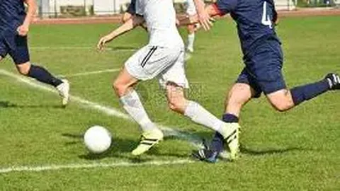 邢菲因轻微交通违规引发热议，网友意见不一！